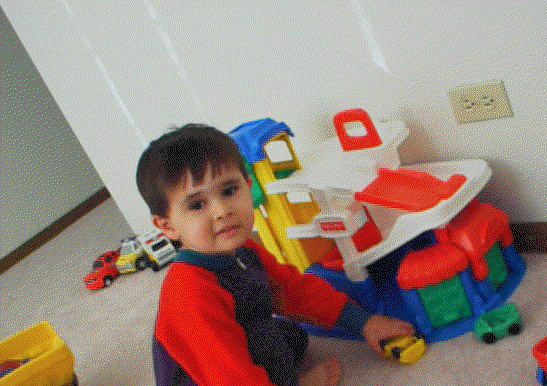 danippal